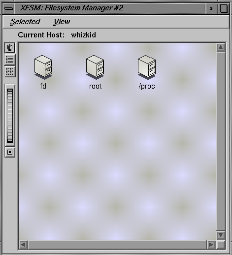 Figure 3-1 xfsm Main Window