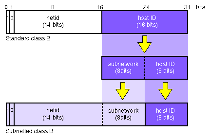 Subnetted Class B Address