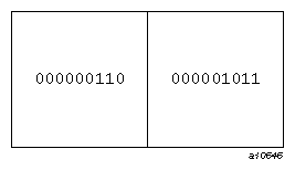 An unformatted record with two integer values
