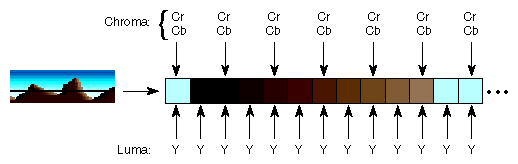 Figure C-11 4:2:2 Sampling 