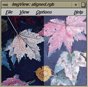 Figure 2-6 Using the “Aligned” Command in a Window with Two Images