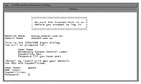 CMW Login Dialog Window