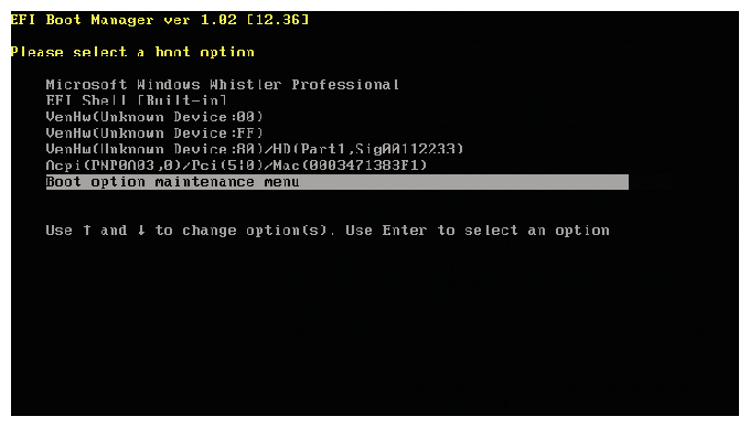 EFI Boot Manager Prompt