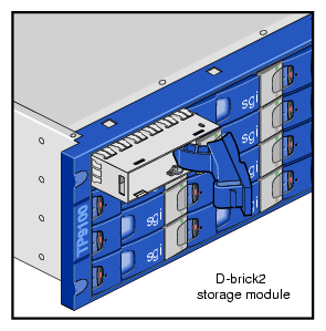 Inserting the Disk Drive Module in a D-brick2 