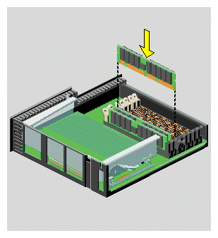 Installing the Memory Modules