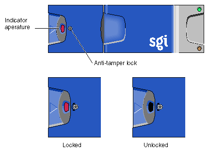 Anti-Tamper Locking on the D-brick2 Disk Drive 